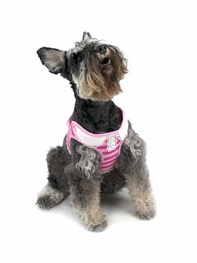 Vibrant Life Pink Stripe Dog Harness